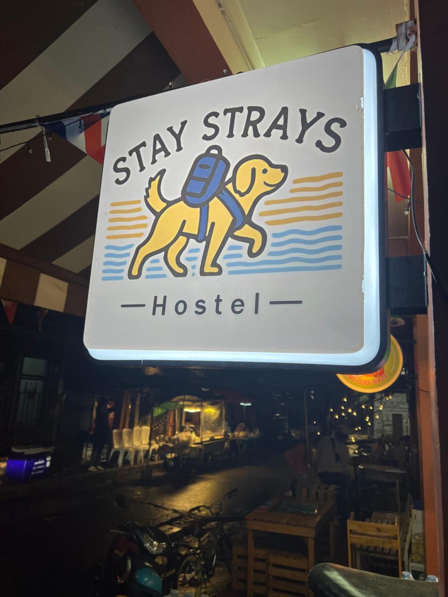 Hostel Strays *